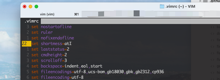 vimrc settings